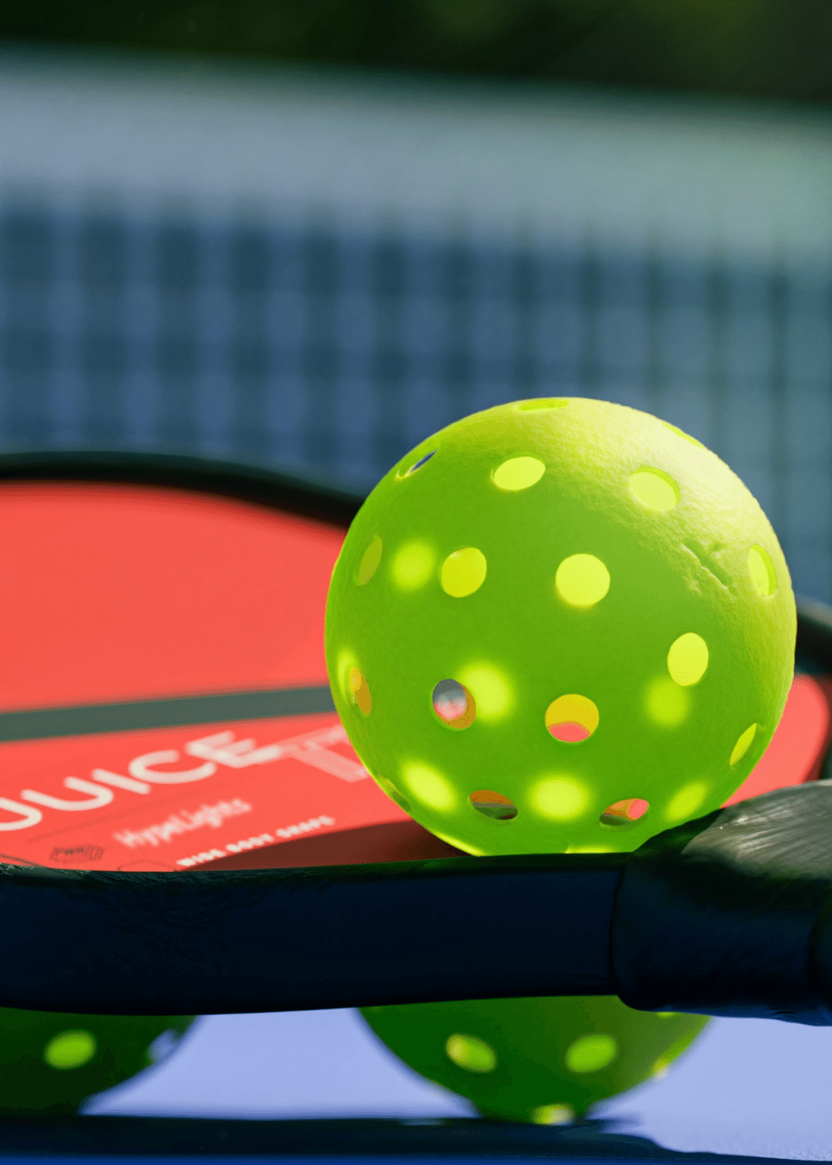 Best Pickleball Set