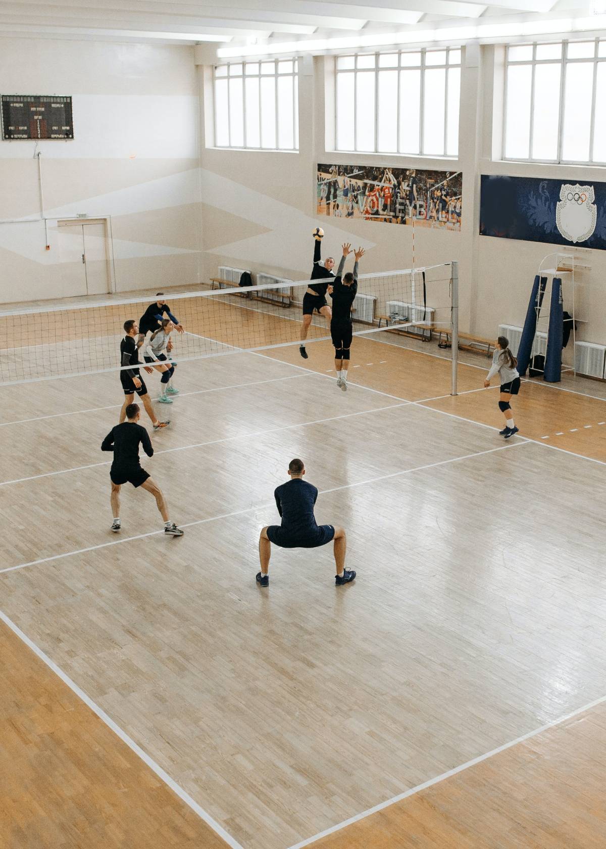 Best basketball shoes for volleyball