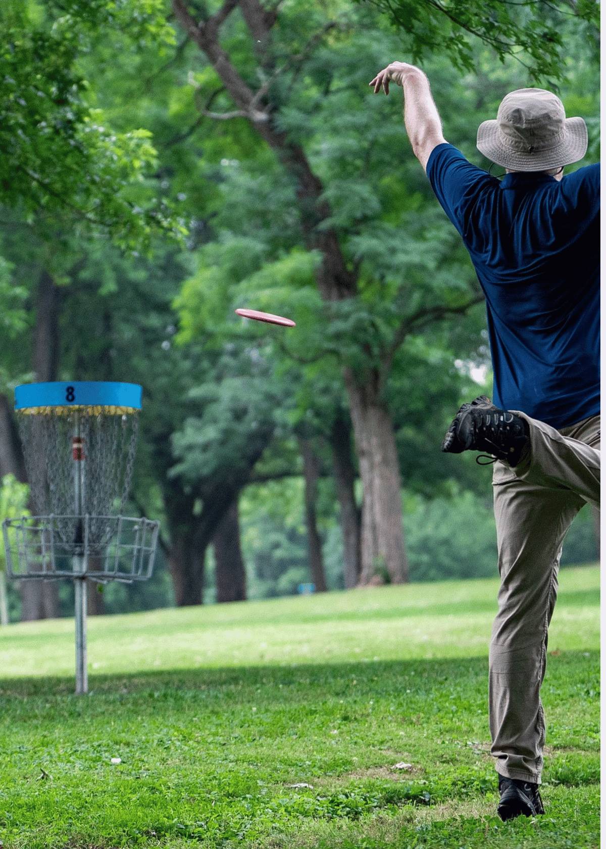 Disc golf putter