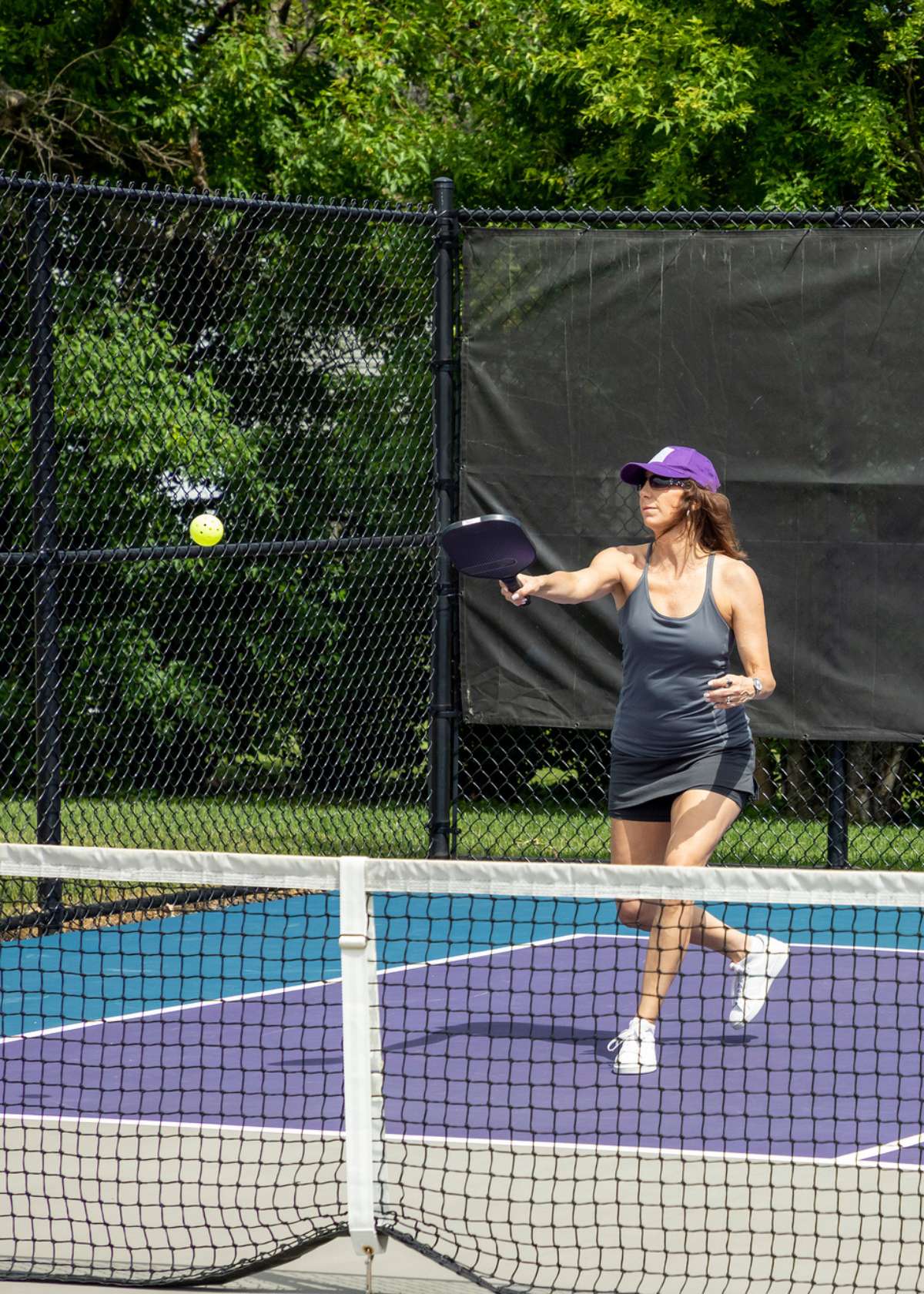 Pickleball shots