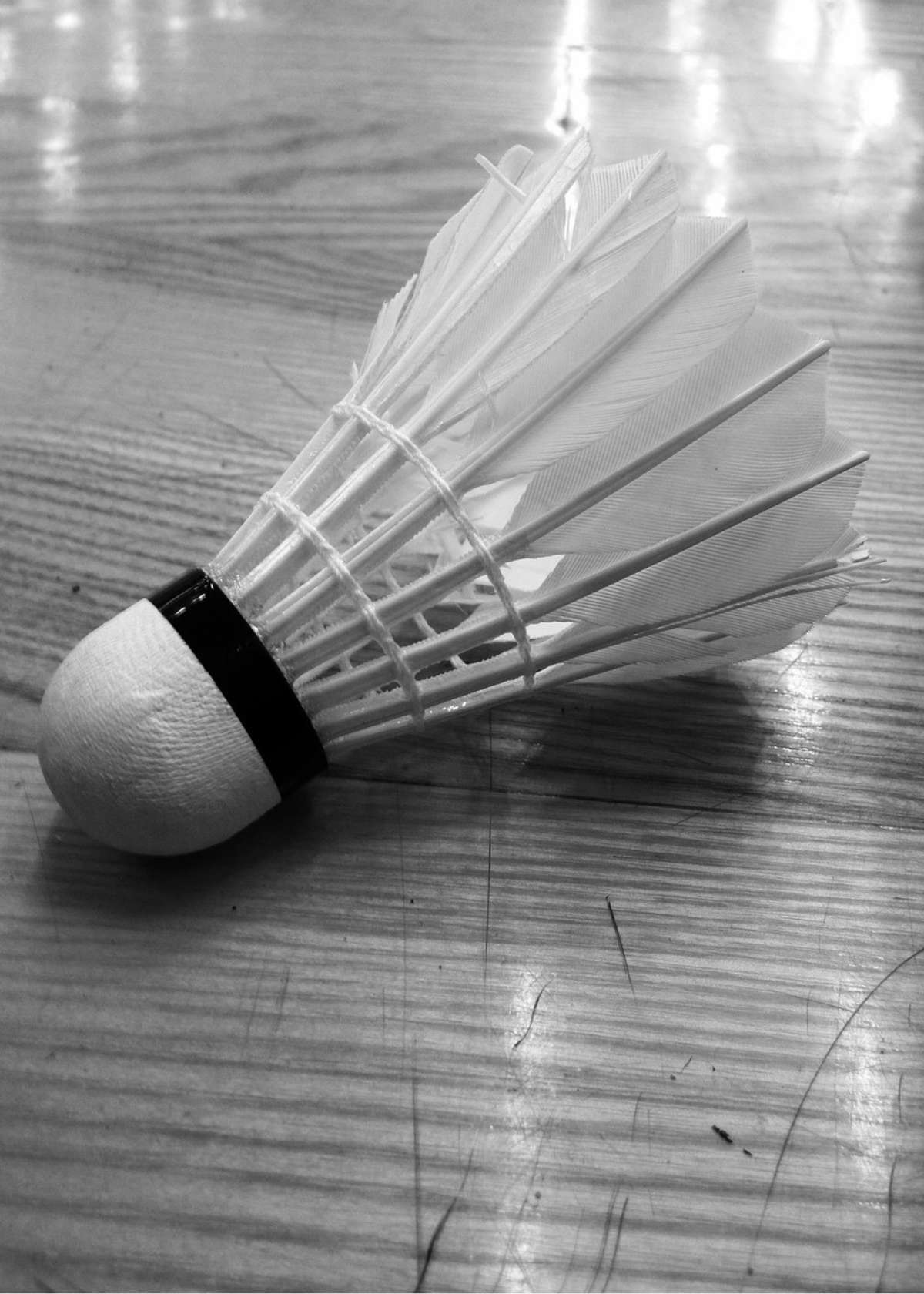 What is the badminton ball called